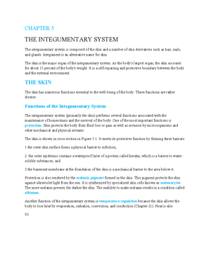 10. THE Nervous System Basic Structure AND Function - CHAPTER 10 THE ...