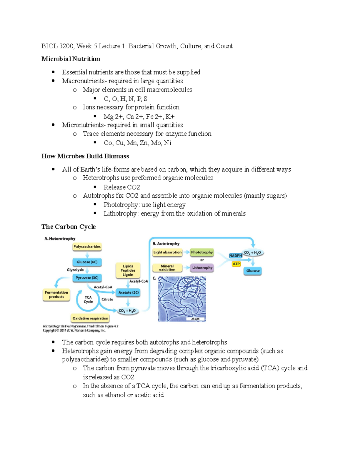 Week 5 Lecture 1 Bacterial Growth, Culture, and Count - BIOL 3200, Week ...