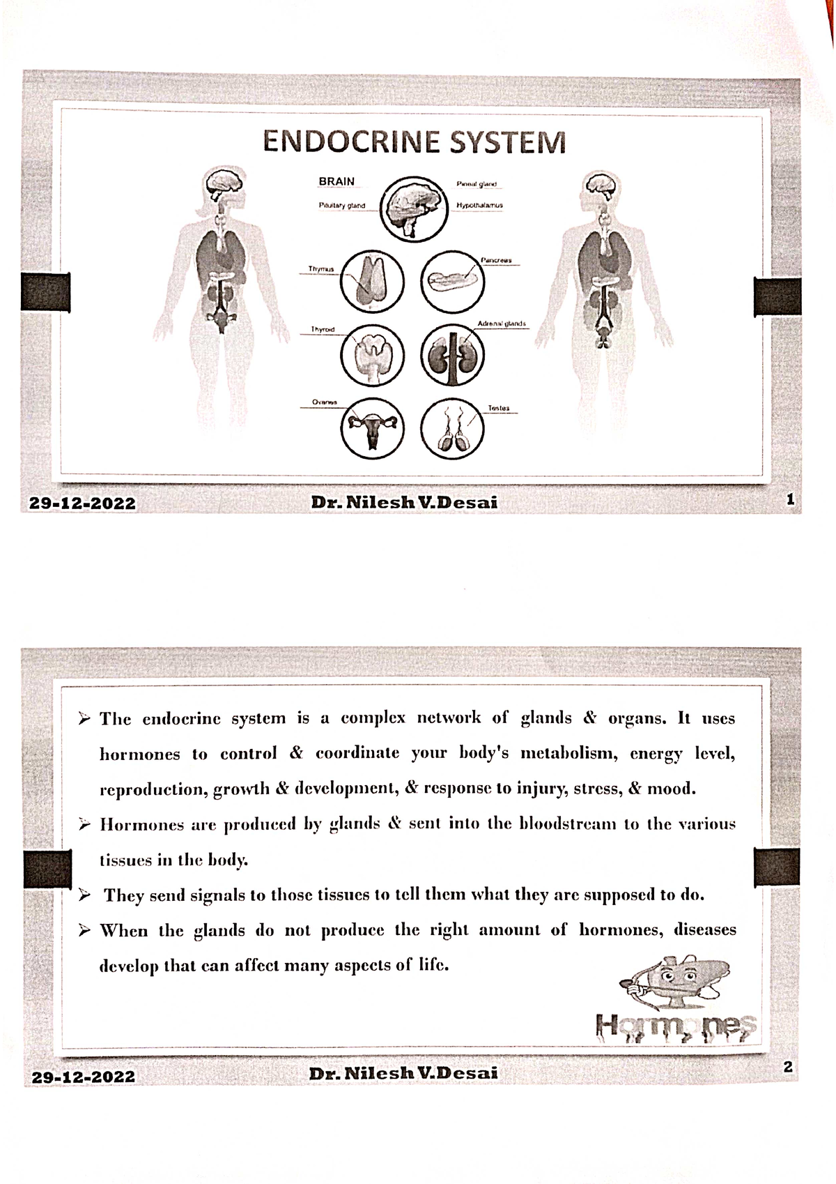 Cology-2 Endocrine System - B. Pharmacy - Studocu