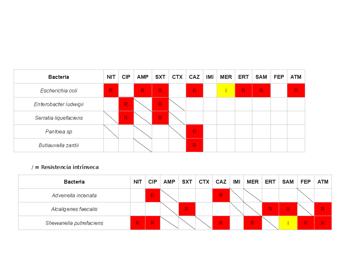 Resistencias intrínsecas a enterobacterales - Microbiología y ...