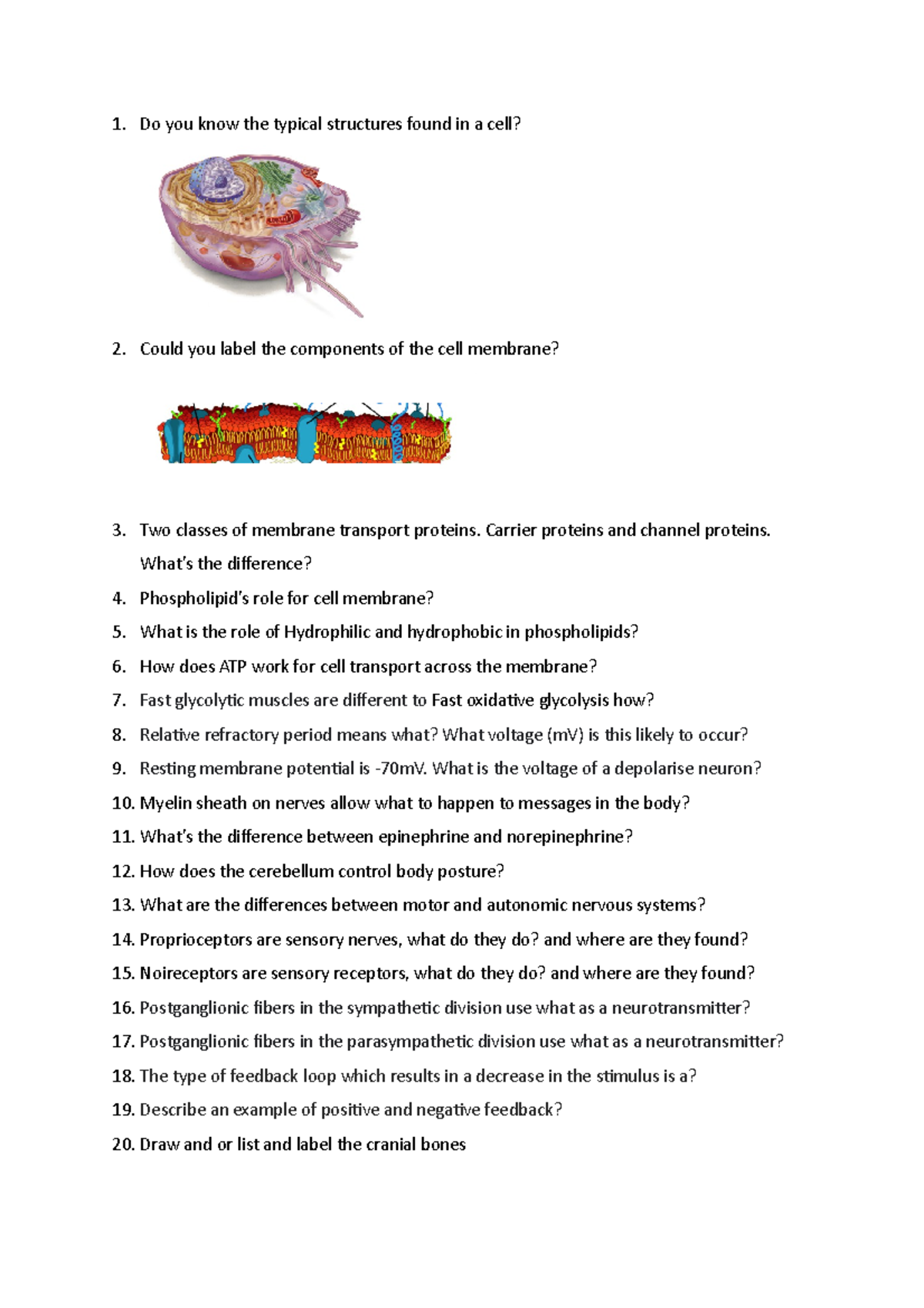 Practice exam questions - Do you know the typical structures found in a ...