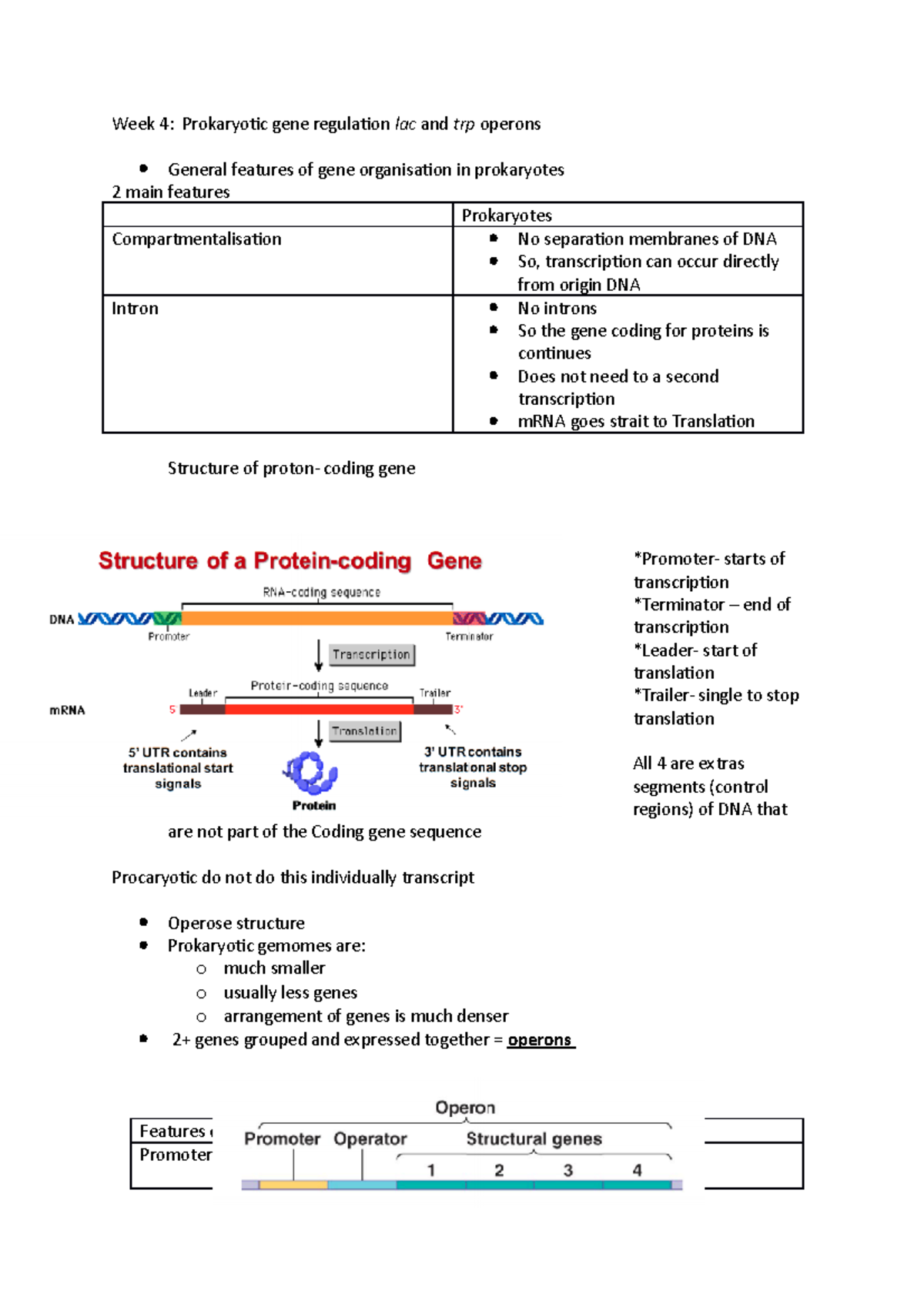 Week 4 notes Prokaryotic Gene Regulation Week 4 Prokaryotic gene regulation lac and trp
