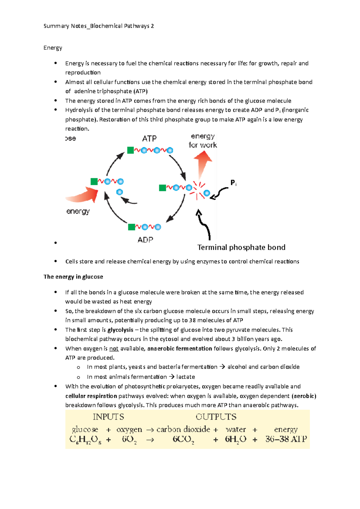 Summary notes photosynthesis and cell respiration - Energy Energy is ...
