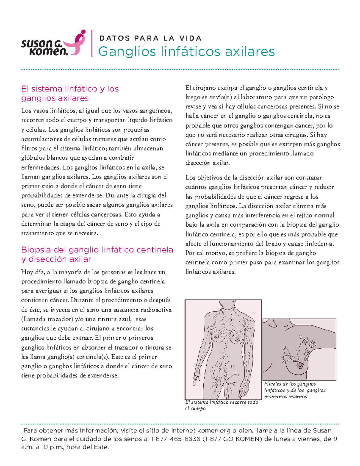 Axillary-Lymph-Nodes SPA- Final-KO2046-1-16-HR-1 - Para obtener más ...