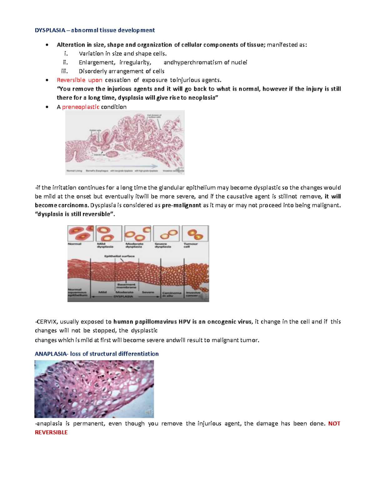 Dysplasia abnormal tissue development - DYSPLASIA – abnormal tissue ...