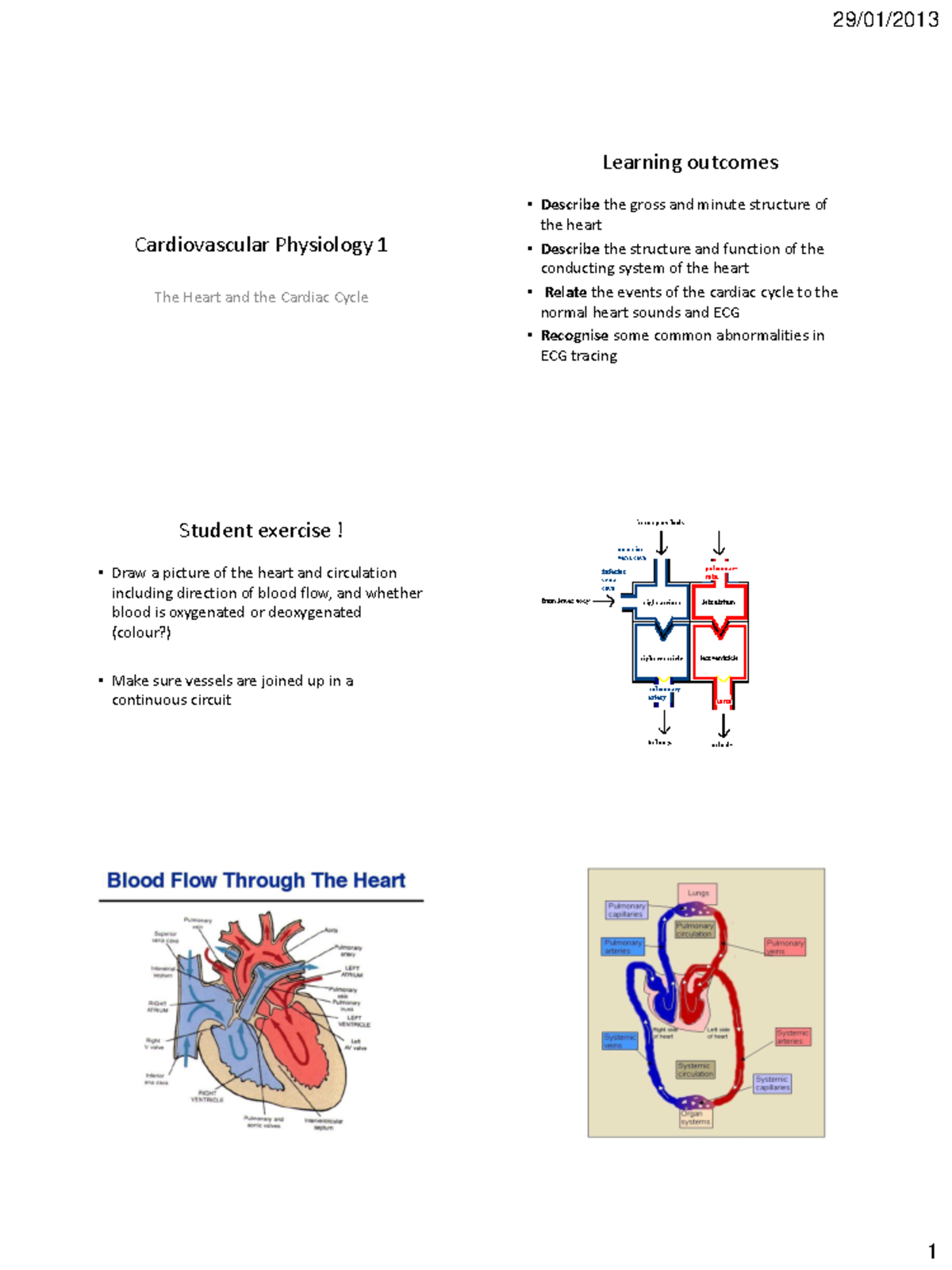 Heart and cardiac cycle - Cardiovascular Physiology 1 The Heart and the ...