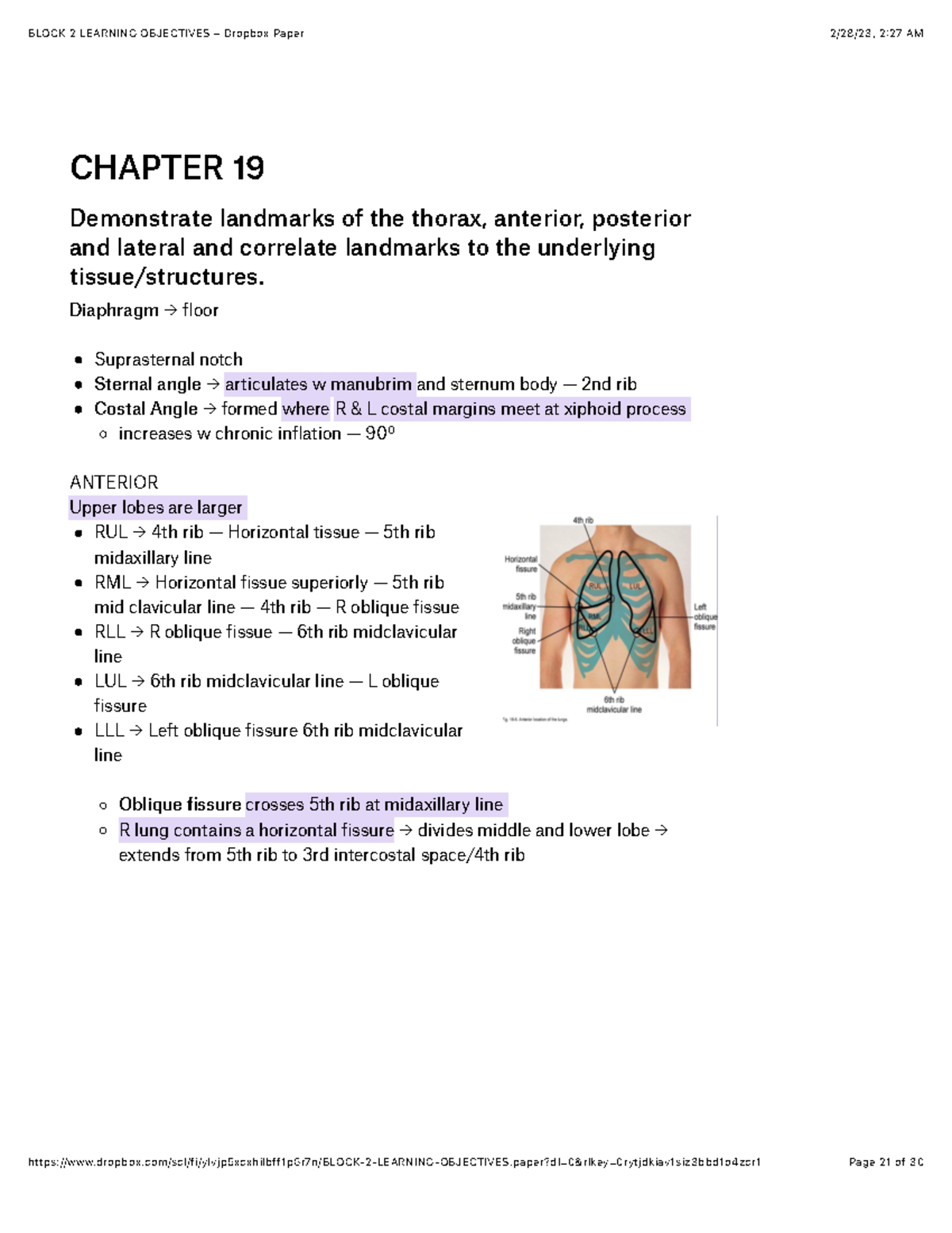 Lungs - HA Theory - CHAPTER 19 Demonstrate landmarks of the thorax ...