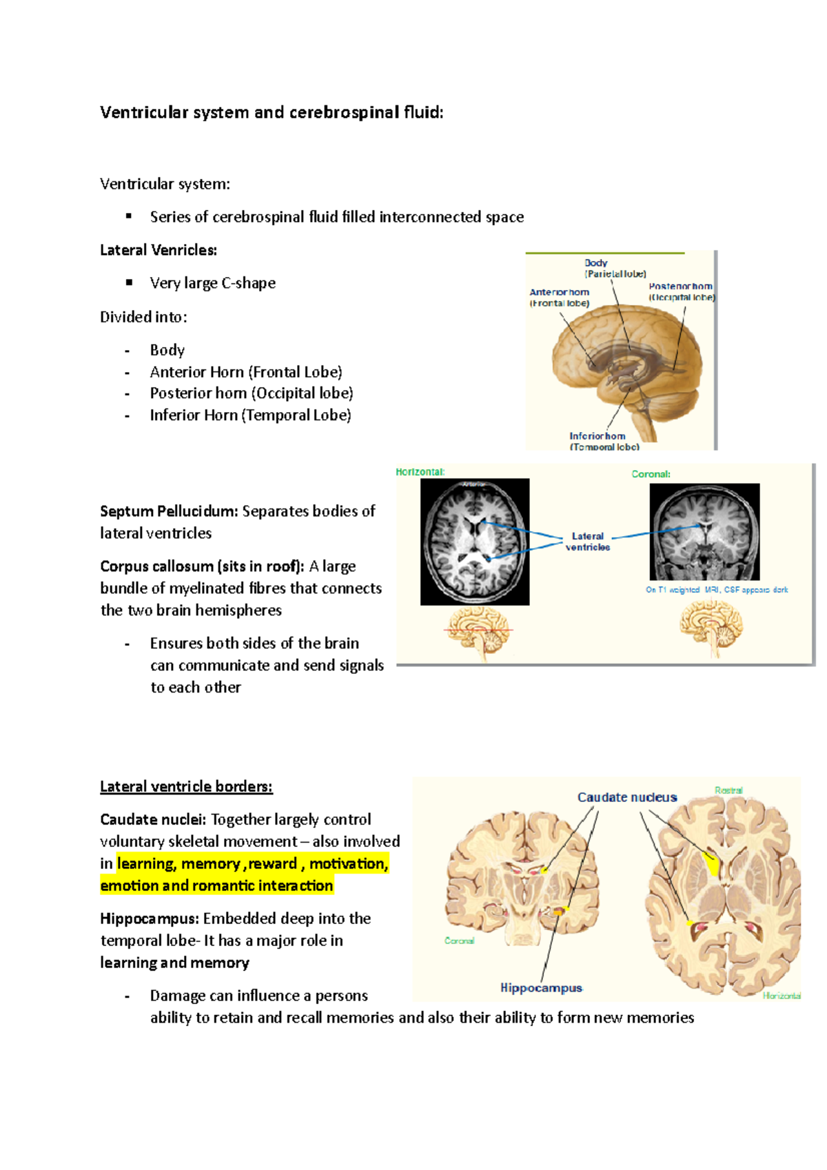 L13-Ventricular system - Ventricular system and cerebrospinal fluid ...