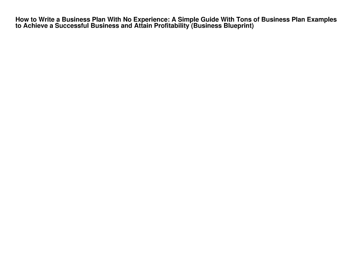 how to write a business plan with no experience pdf