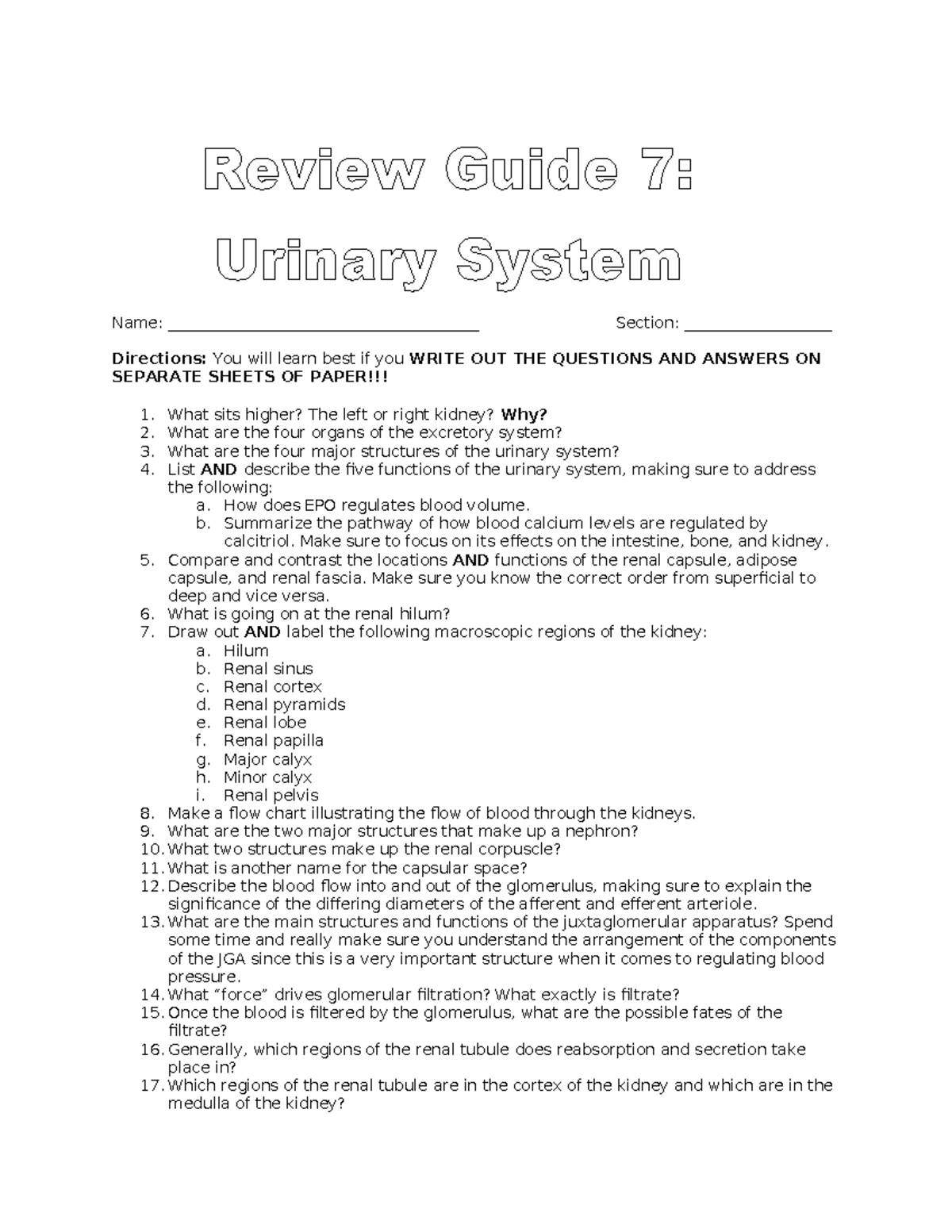 7 Urinary System Review Guidemw 2021 2 - Name ...