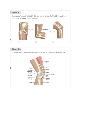 Chapter 7 respiratory system test - Spitting or expectoration of blood ...