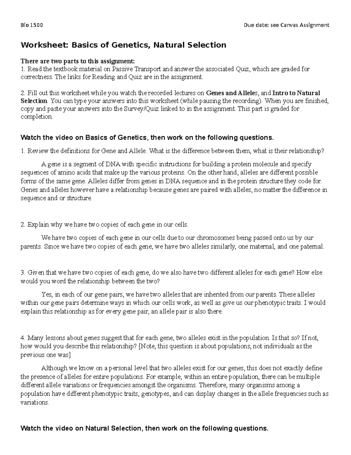 05 Basic NS1 Bio 1500 Due date see Canvas Assignment Worksheet Basics of