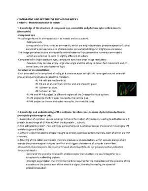 Physiology - Lecture 1 + 2 - LECTURE 1 - Animal Diversity, Phylogeny ...