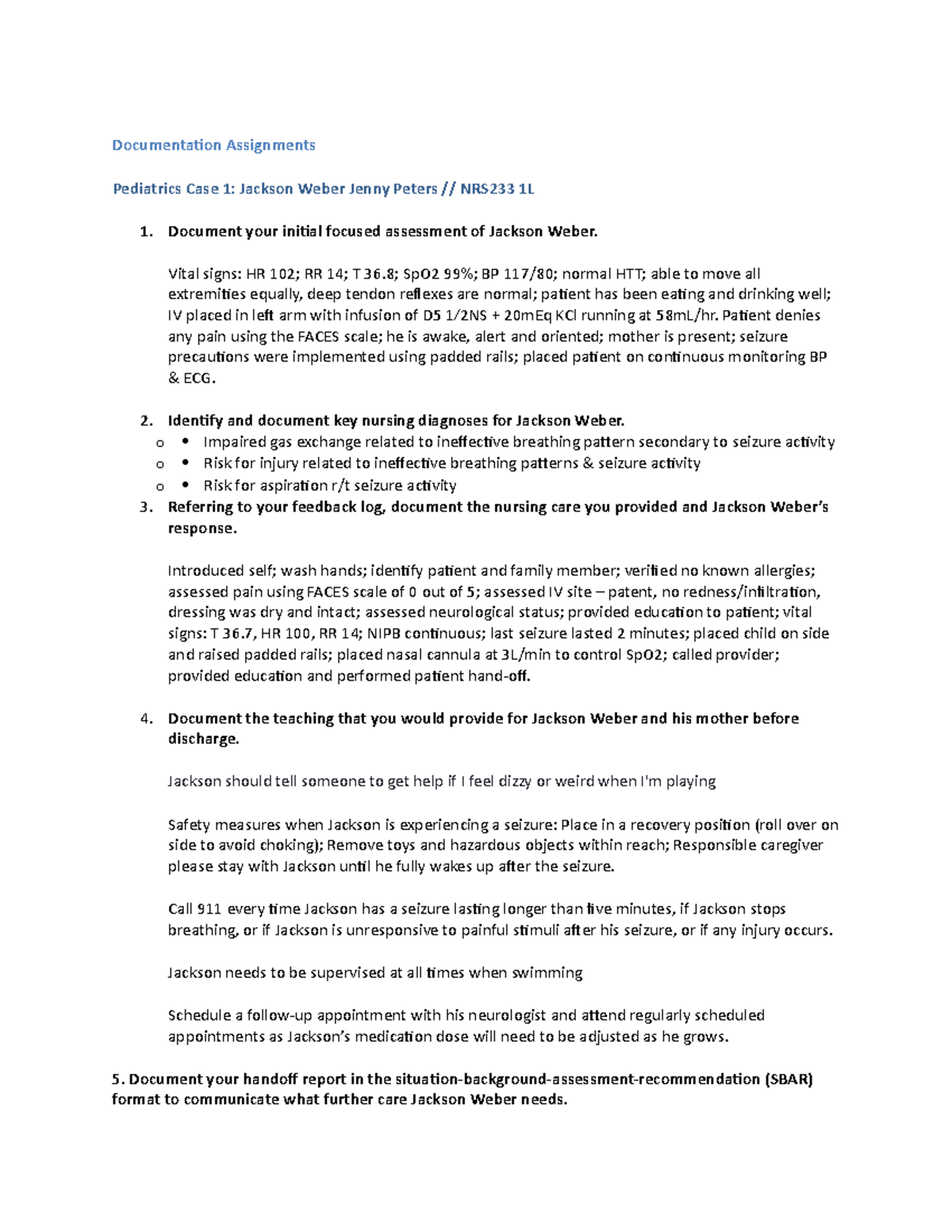 Jackson Weber Vsim documenation and reflection - Documentation ...