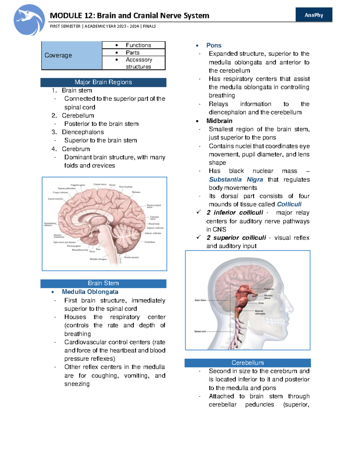 Anaphy Lesson 12 - Brain (LAB) - FIRST SEMESTER | ACADEMIC YEAR 2023 ...