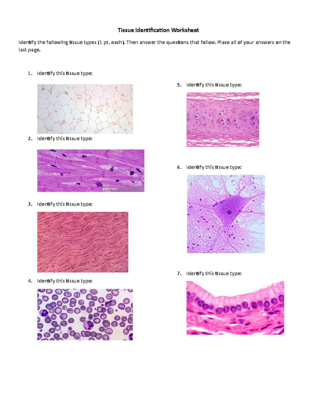 Types Of Tissues Worksheet