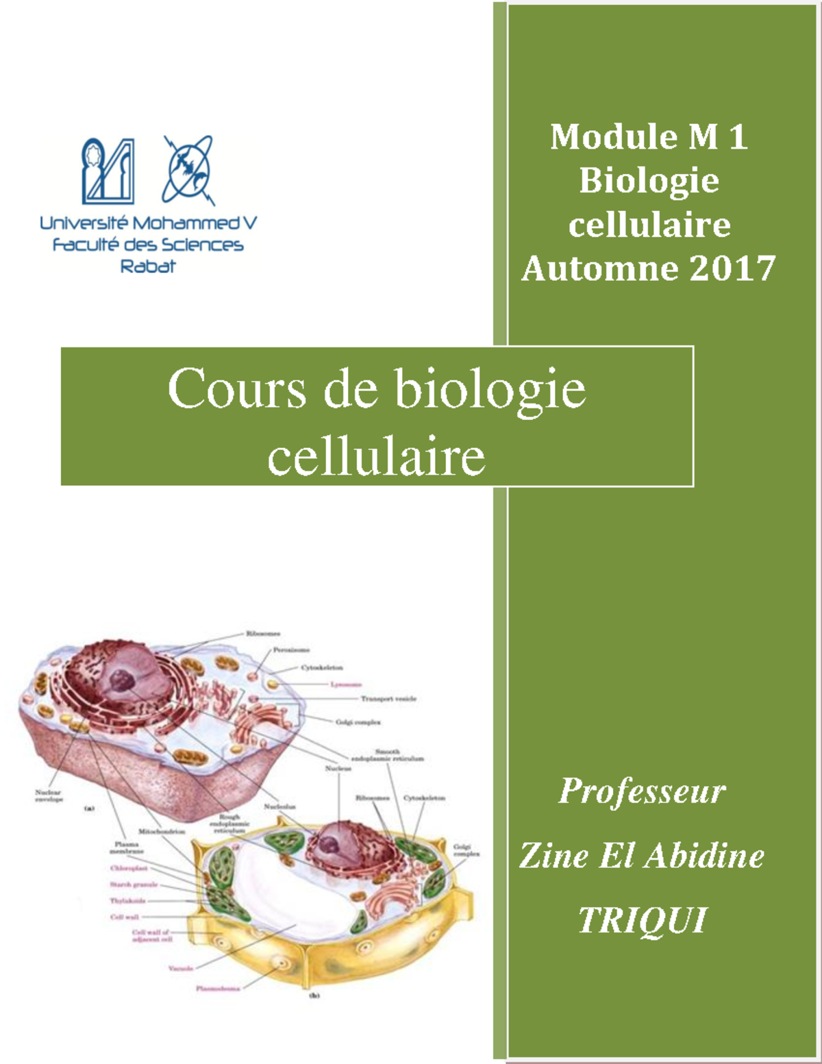 M Triqui Cours DE Biologie Cellulaire 2017-2018 - Z Module M 1 Biologie ...