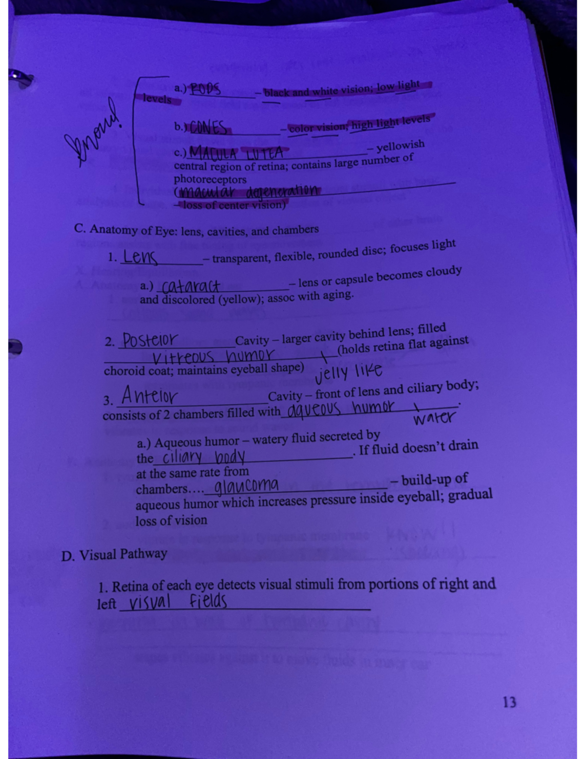 97 - Anatomy and Physiology II w/ Lab lecture notes and quiz notes ...