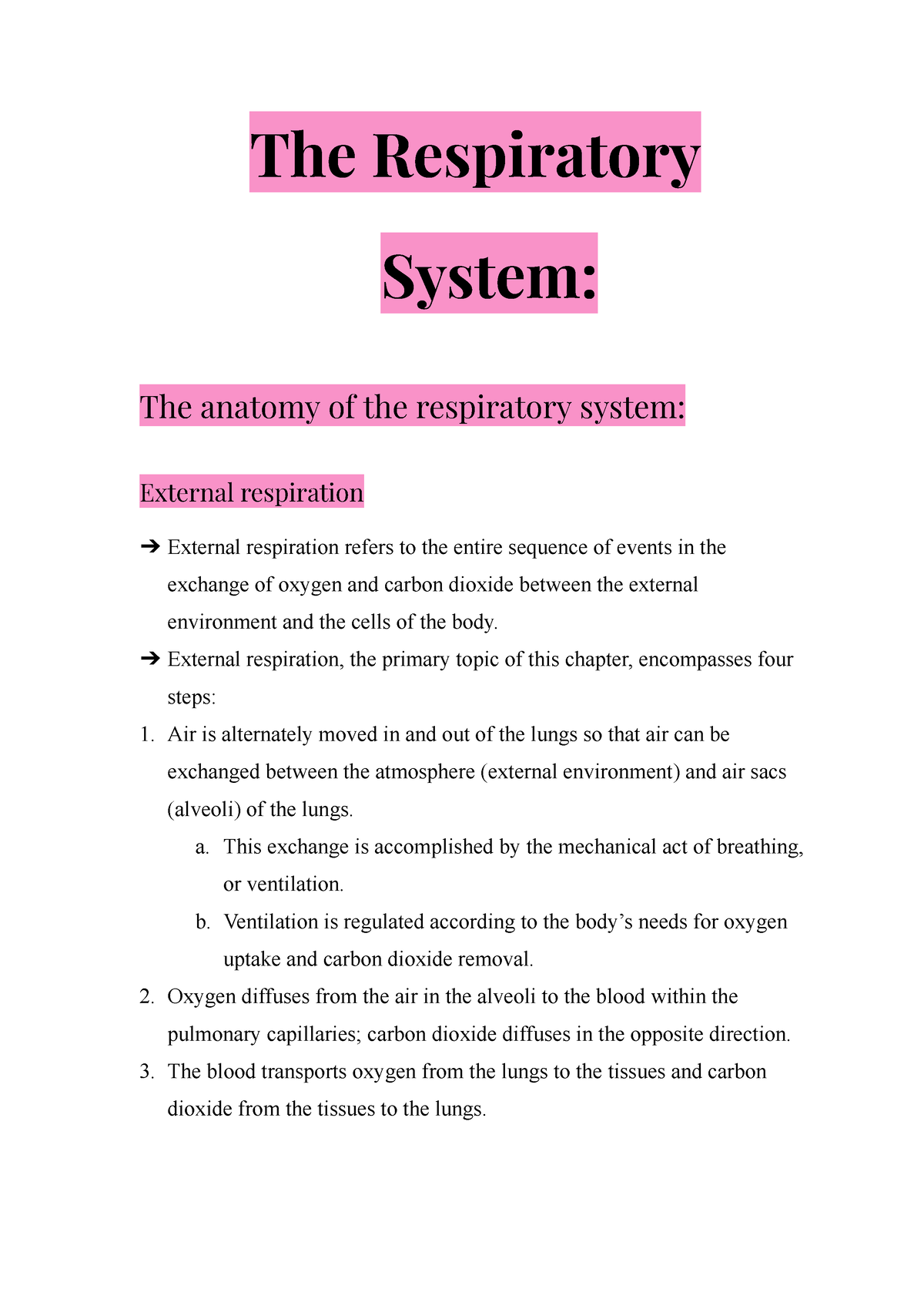 The Respiratory System - The Respiratory System: The anatomy of the ...