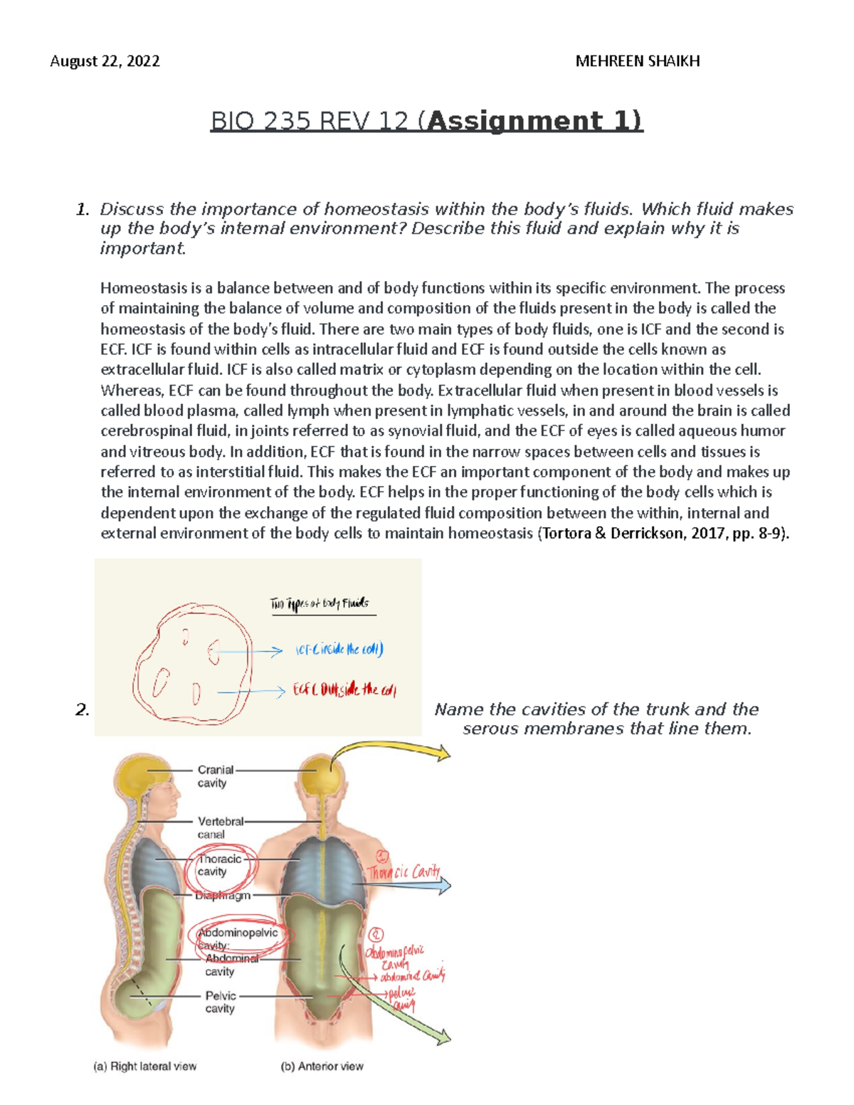 bio 235 assignment 2 revision 12