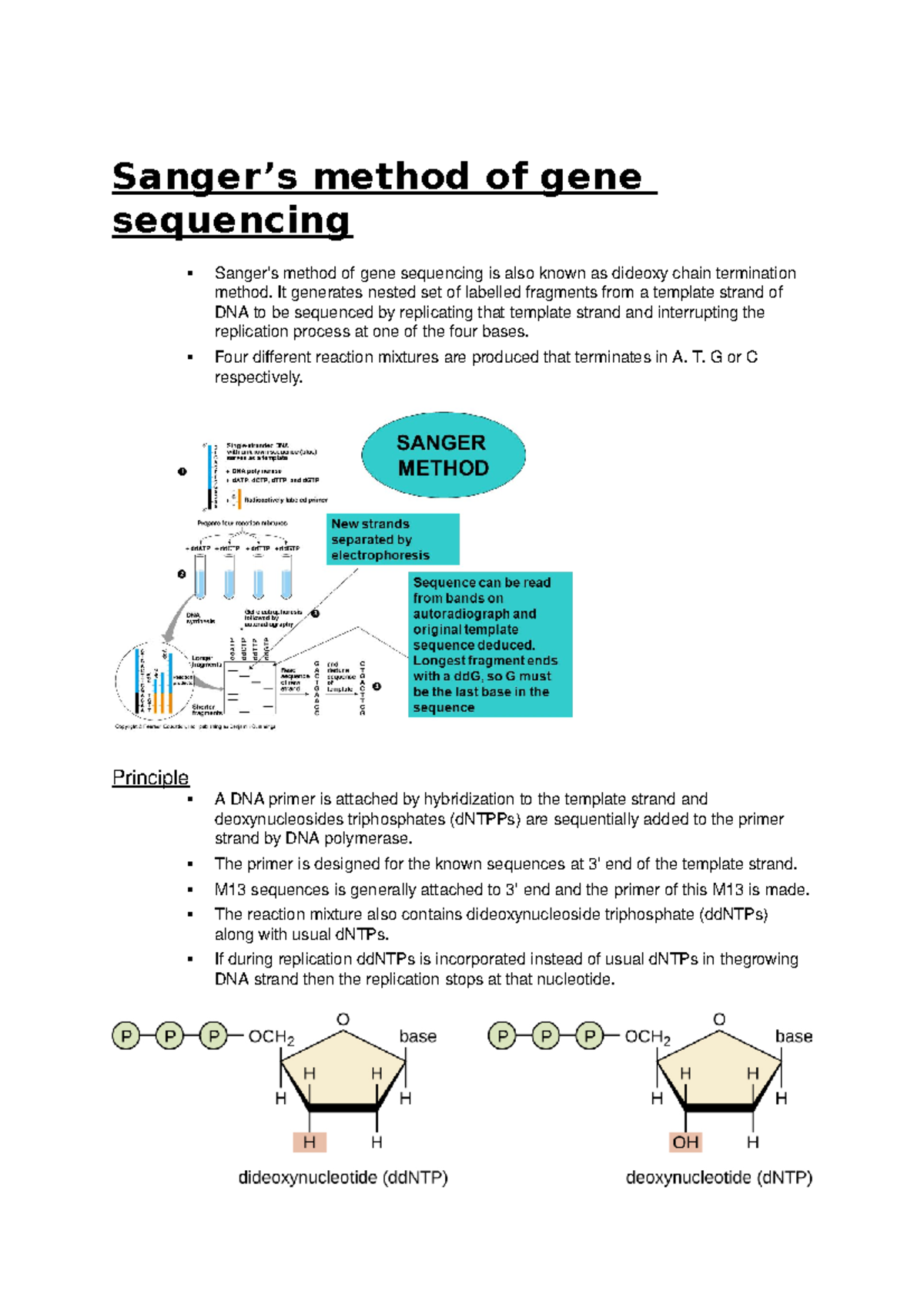 BHCS2003 Sanger Sequencing - Sanger’s method of gene sequencing Sanger ...