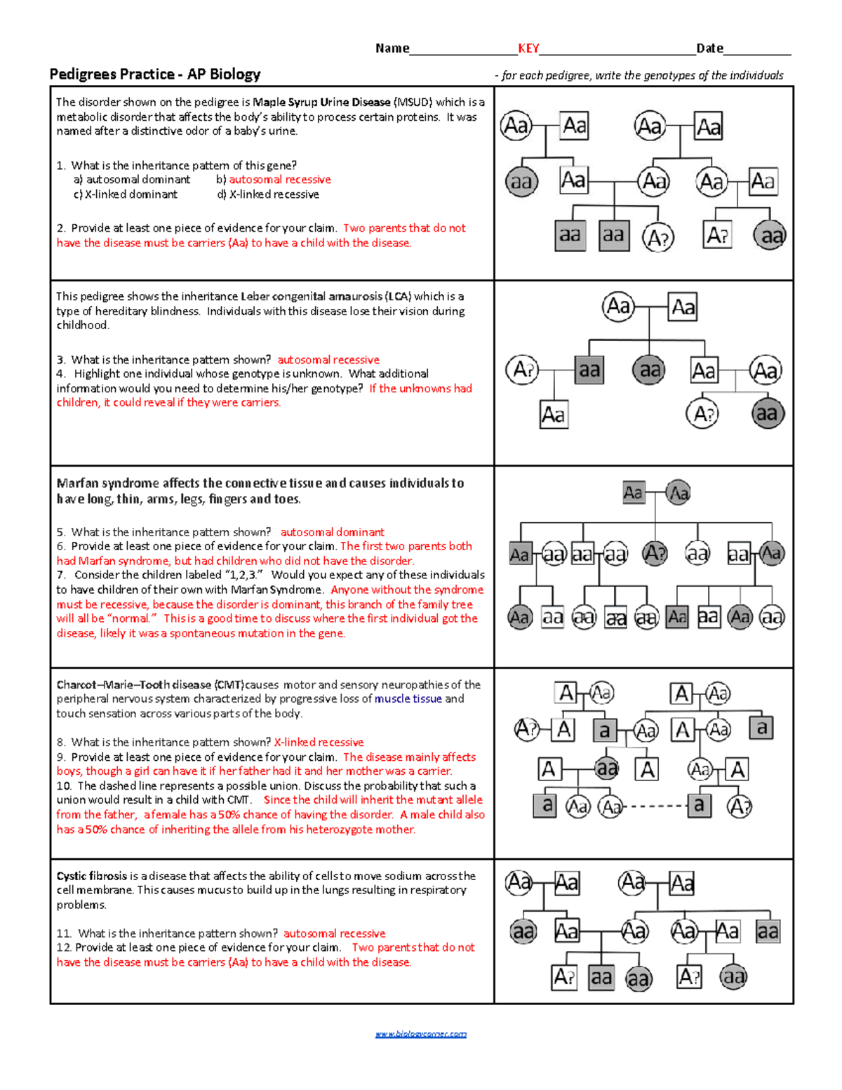 Genetic Chart Worksheet Key