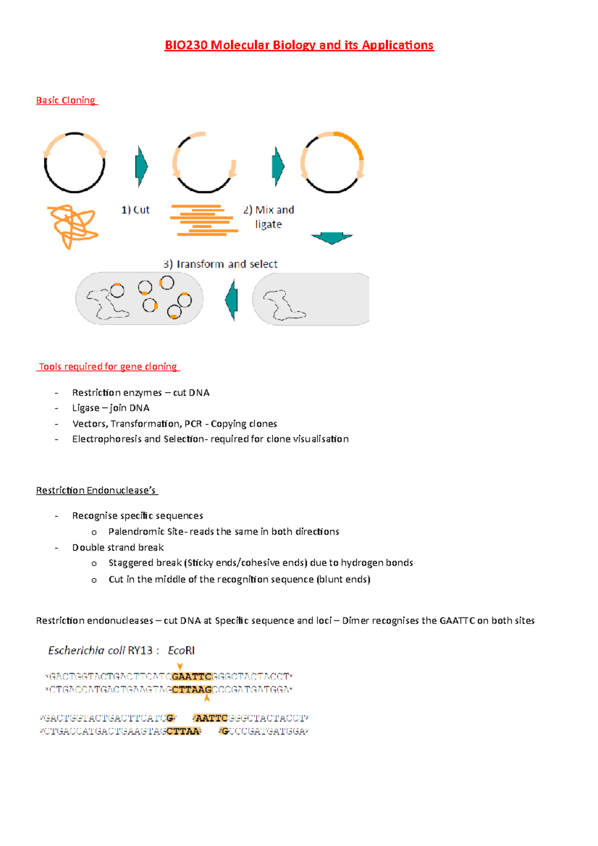Basic Cloning Tools for Gene Cloning in Molecular Biology - Studocu