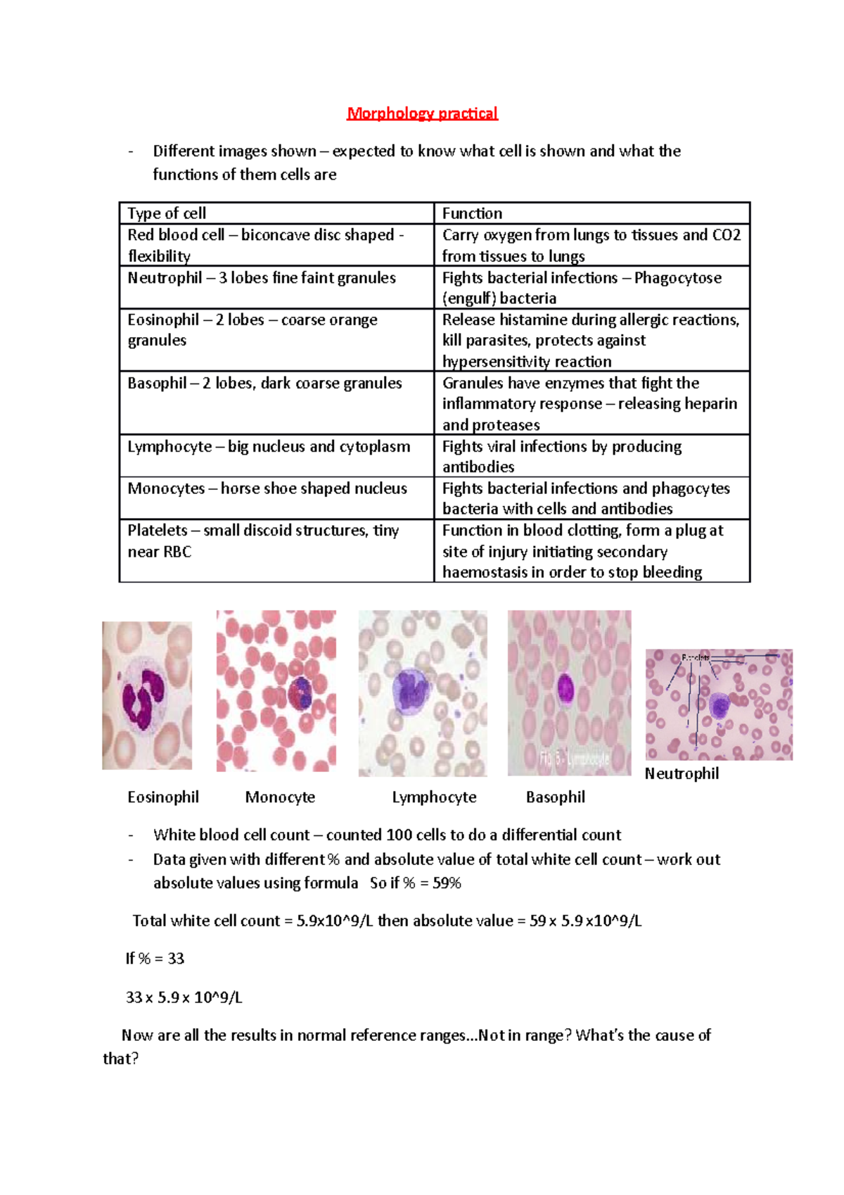 Morphology practical: Cell identification and functions blood ...