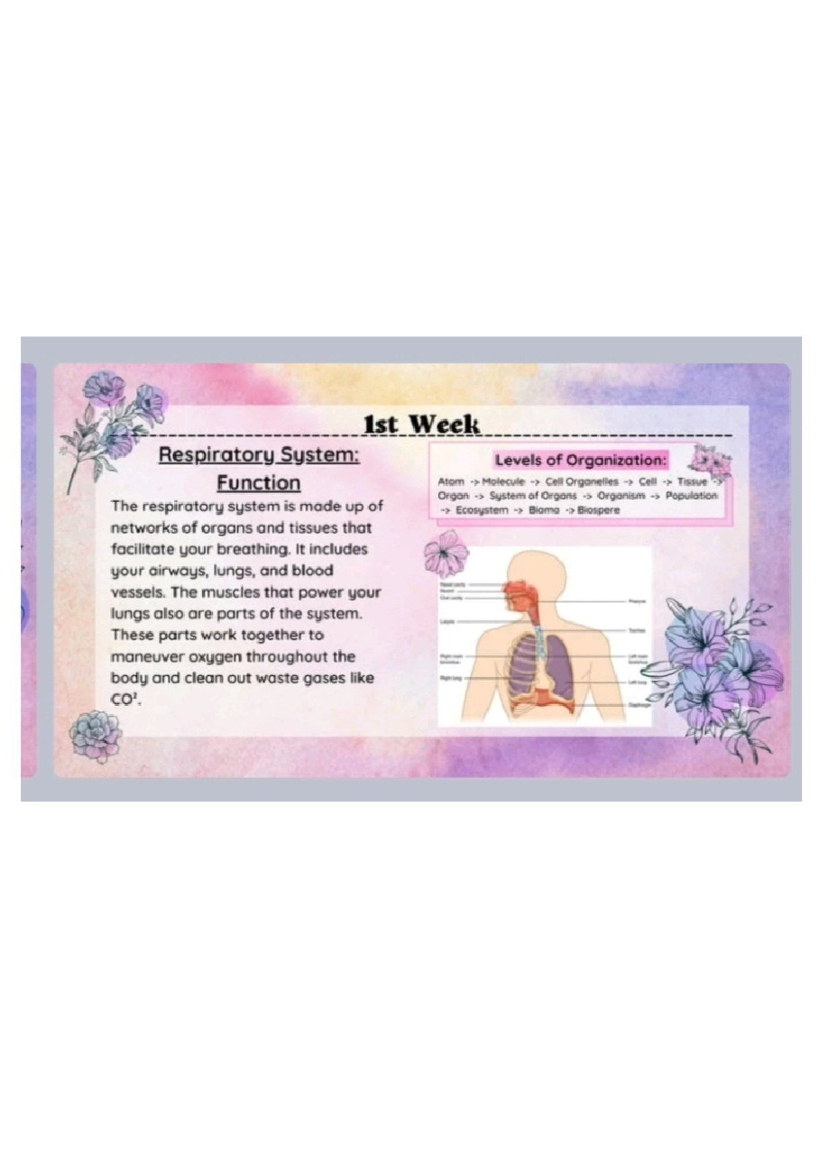 Science 9 quarter 1 - 1st Week Respiratory System: Levels of ...