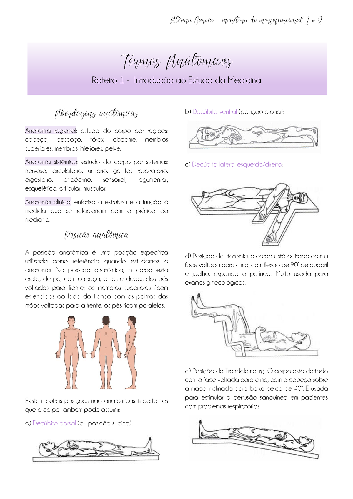 Termos Anat Micos Roteiro Introdu O Ao Estudo Da Medicina Anatomia Regional Estudo Do