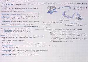 Ch 9 outline genetics - Stuff - CHAPTER 9 Patterns of Inheritance ...