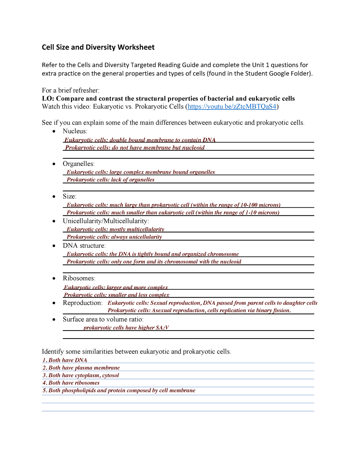 biol-112-cell-size-and-diversity-worksheet-1-copy-cell-size-and-diversity-worksheet-refer