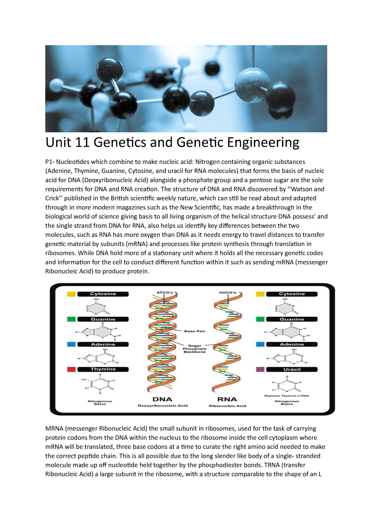 unit 11 genetics and genetic engineering assignment 2