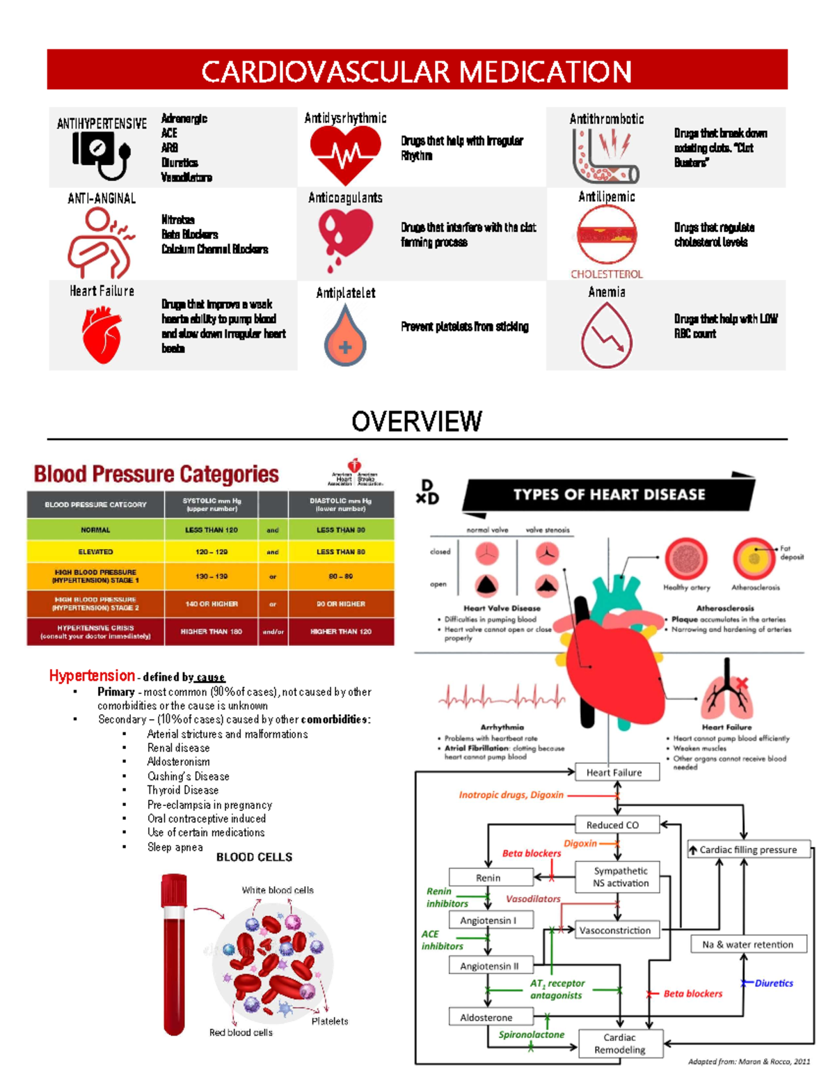 EXAM 2 -Cardiovascular Medication (recommend) - CARDIOVASCULAR ...