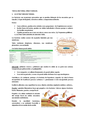 Test biología 1º - TEST BIOLOGÍA La lámina rara o lúcida se encuentra ...