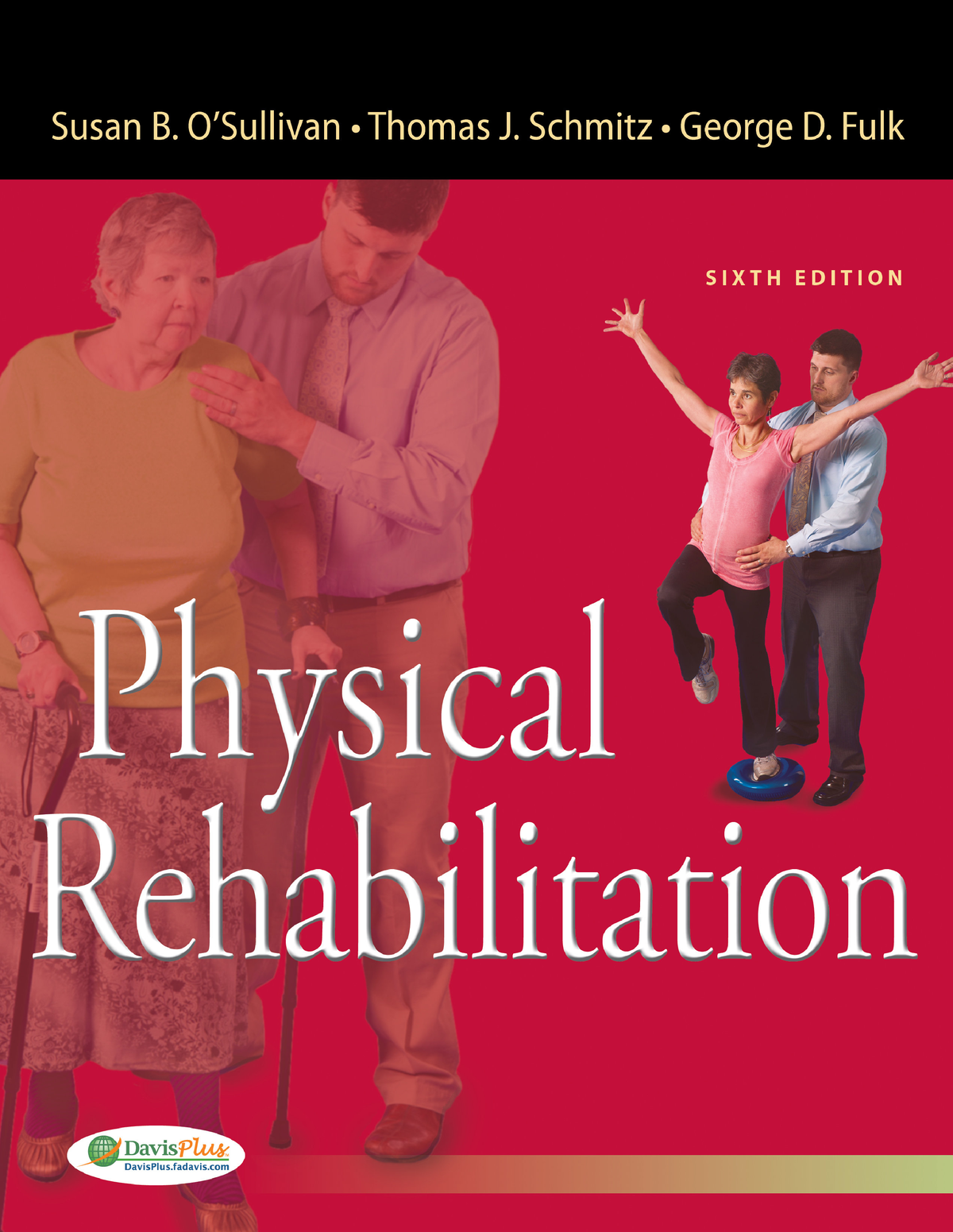 Physical Rehabilitation By Susan B. OSullivan, Thomas J. Schmitz ...