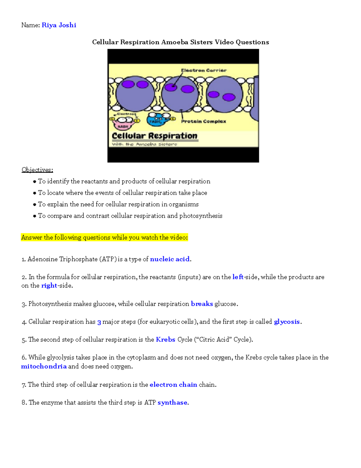 amoeba-sisters-cellular-respiration-name-riya-joshi-cellular