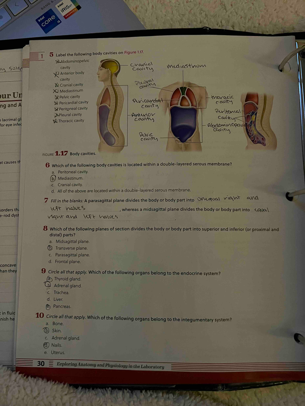 2022 11 28 21 53g - Lab Manual - BIO 201 - Studocu