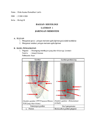 Laporan Praktikum Jaringan Pengangkut - Nama : Riska Izzatur Ramadhani ...