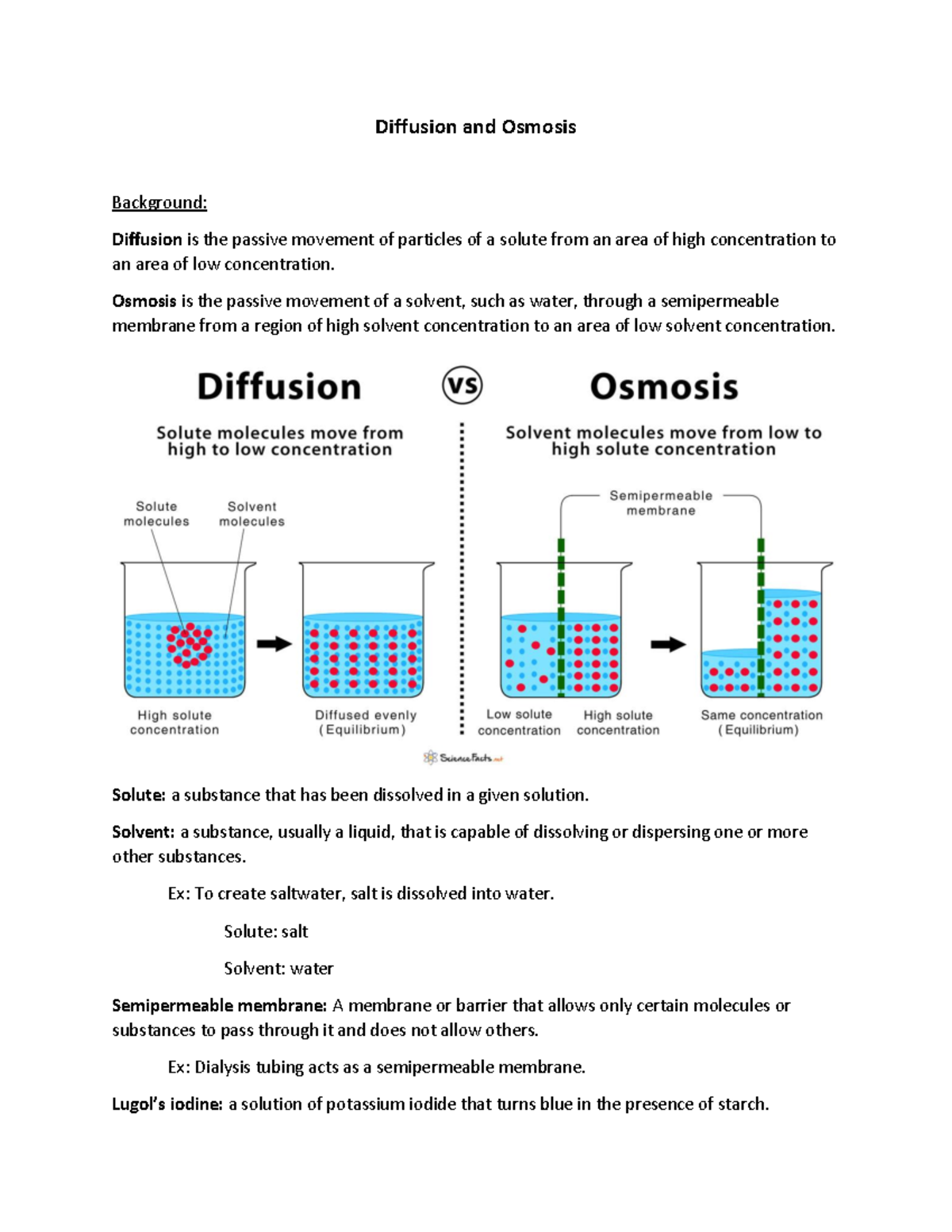 lab assignment 4 diffusion and osmosis