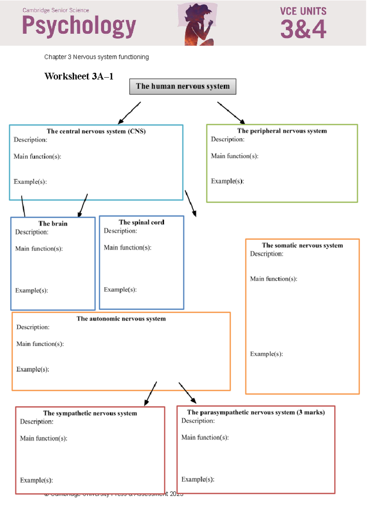 1. 3A Summary of Nervous System - Chapter 3 Nervous system functioning ...