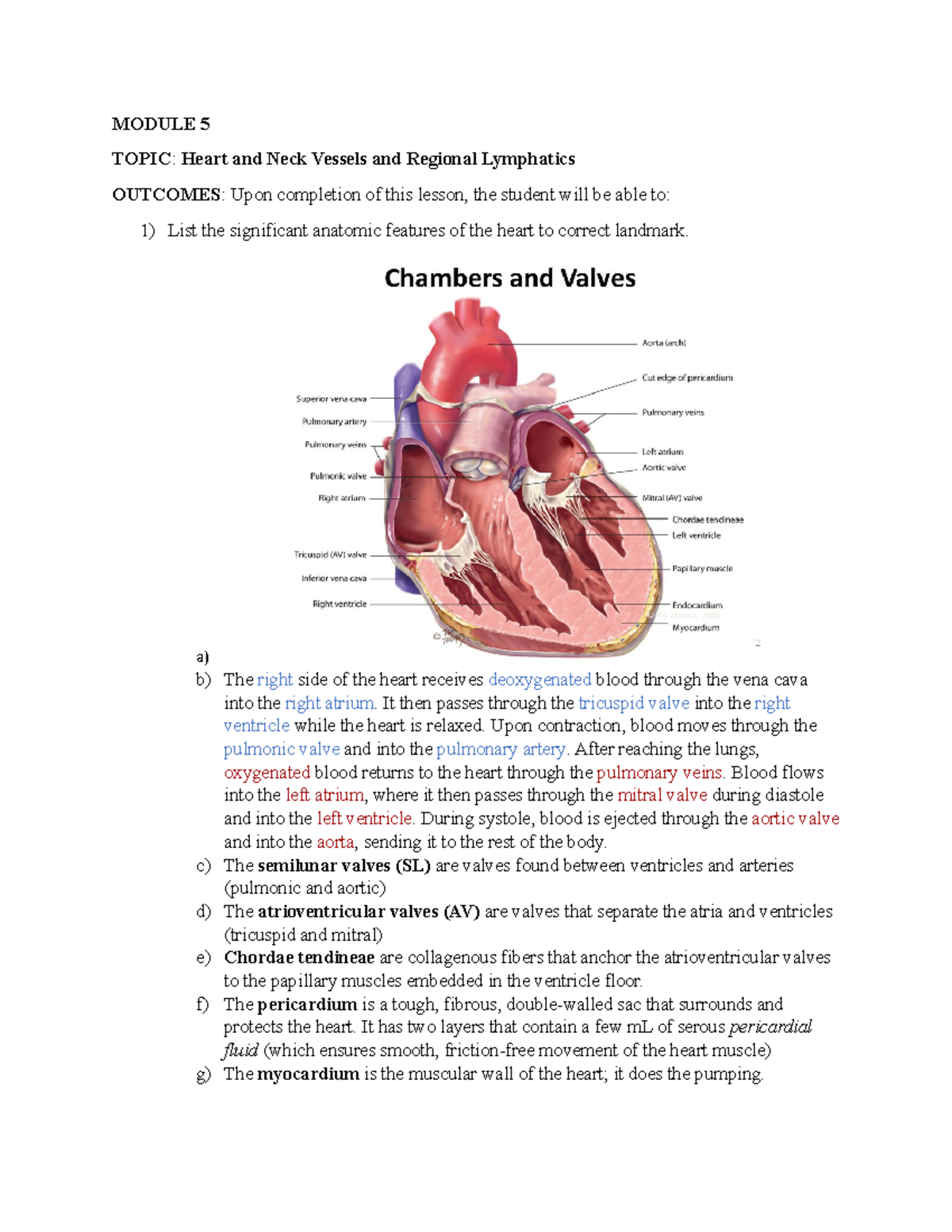 1135 Module 5 Objectives - MODULE 5 TOPIC: Heart and Neck Vessels and ...