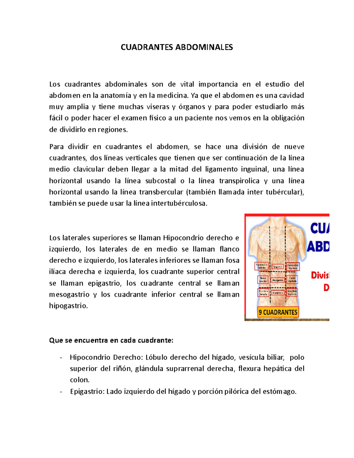 Cuadrantes Abdominales - Ya Que El Abdomen Es Una Cavidad Muy Amplia Y ...