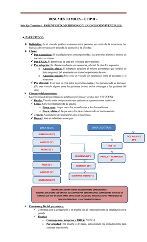 Efip 2 Abogacia Efip2 Siglo 21 Studocu