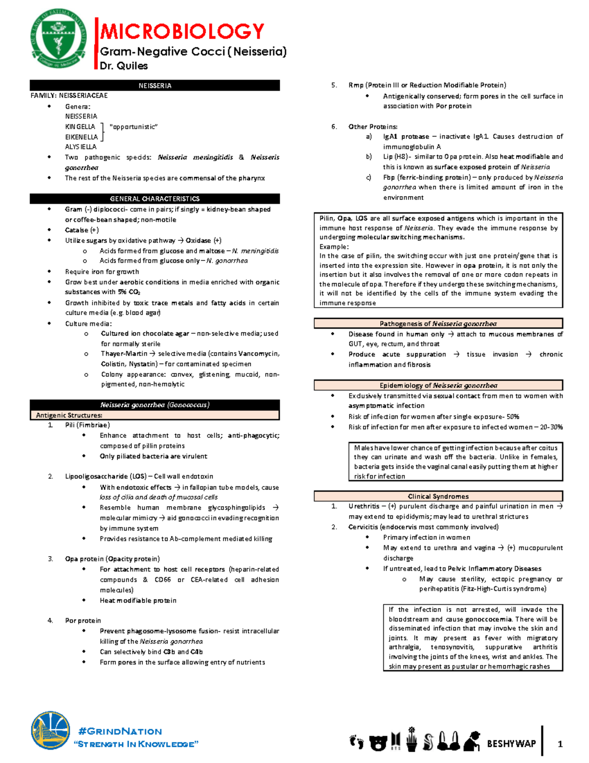 Microbiology 14 - microbio notes - MICROBIOLOGY Gram-Negative Cocci ...