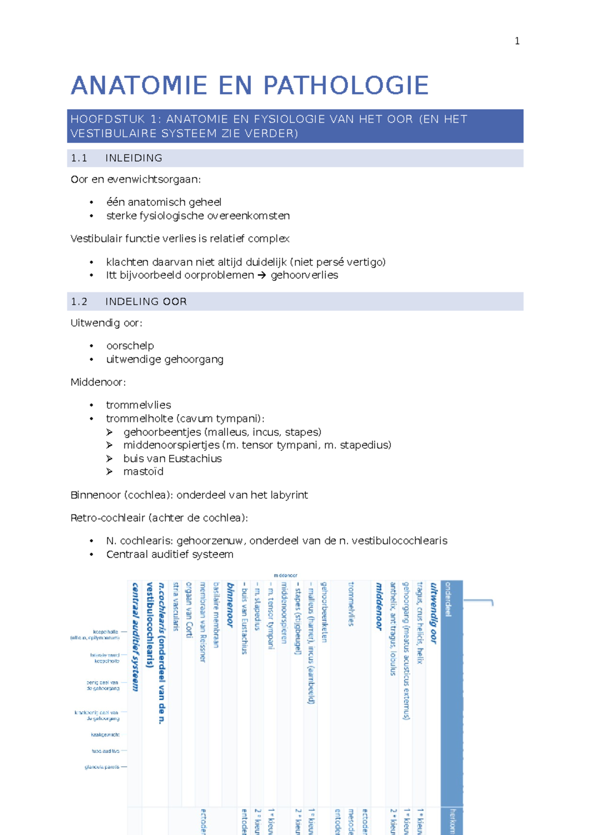 Samenvatting Anatomie En Pathologie - ANATOMIE EN PATHOLOGIE HOOFDSTUK ...