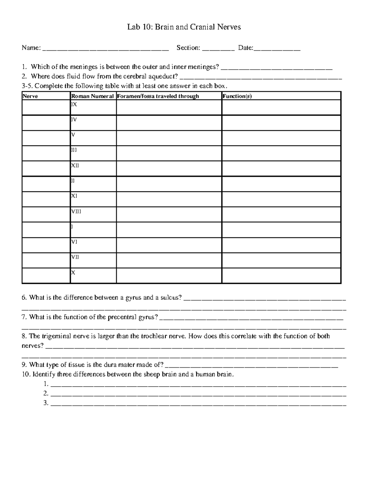 201L Review Q Lab10 Brain Cranial Nerves - Lab 10: Brain and Cranial ...