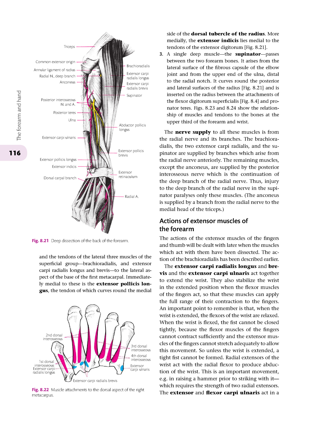 Cunninghams-manual-of-practical-anatomy-volume-1 (1)-15 - 116 The ...