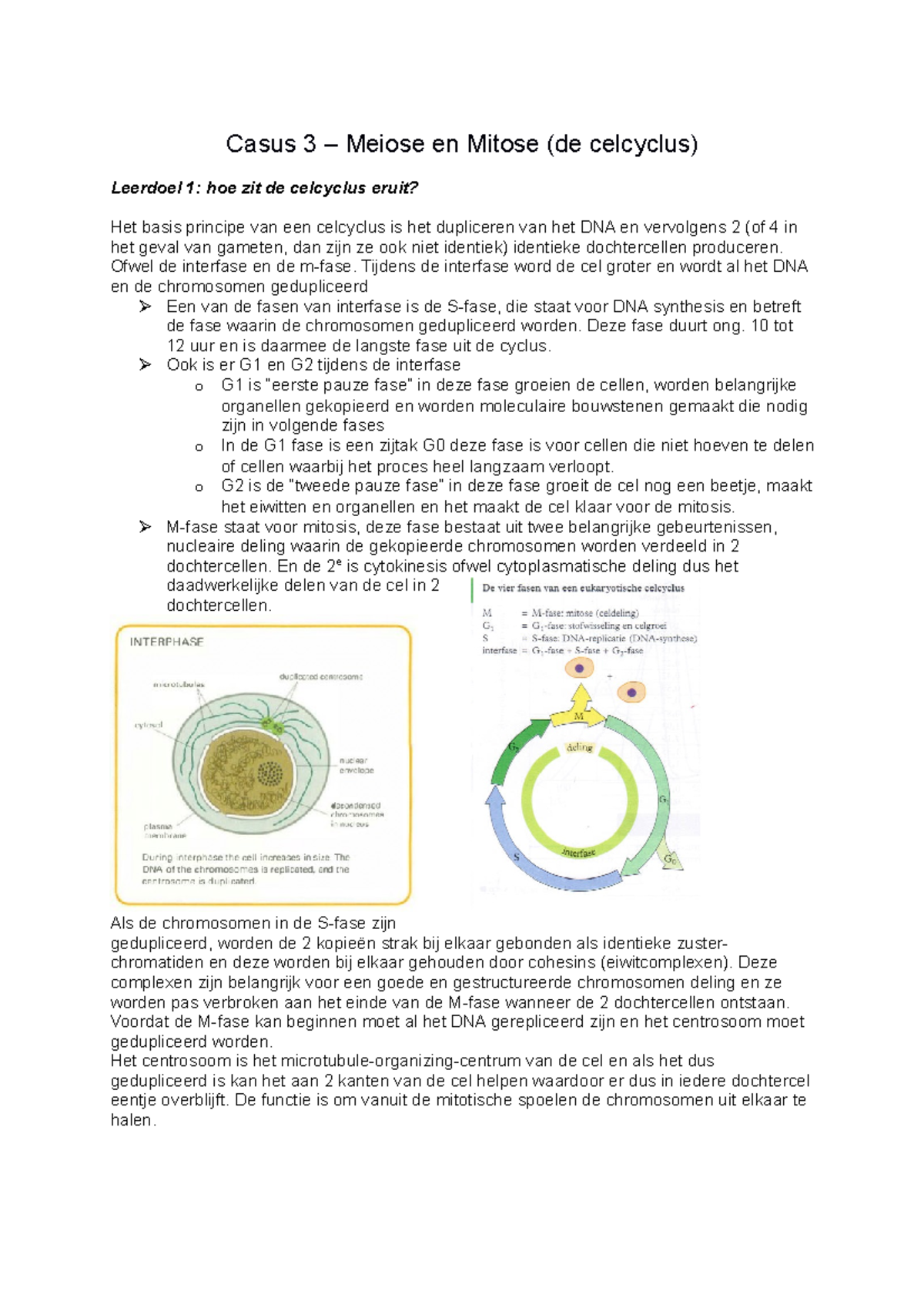 Casus 3 Meiose En Mitose Celcyclus Uitgewerkt Casus 3 Meiose En