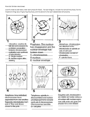 4-7 - need help - Earth's Diversity Module Exam In this module, you ...